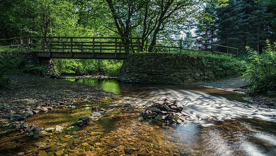 Wermelskirchen Neuenmuehle Bruecke Fluss Natur Wald Wermelskirchen Neuenmuehle Bruecke Fluss Natur Wald