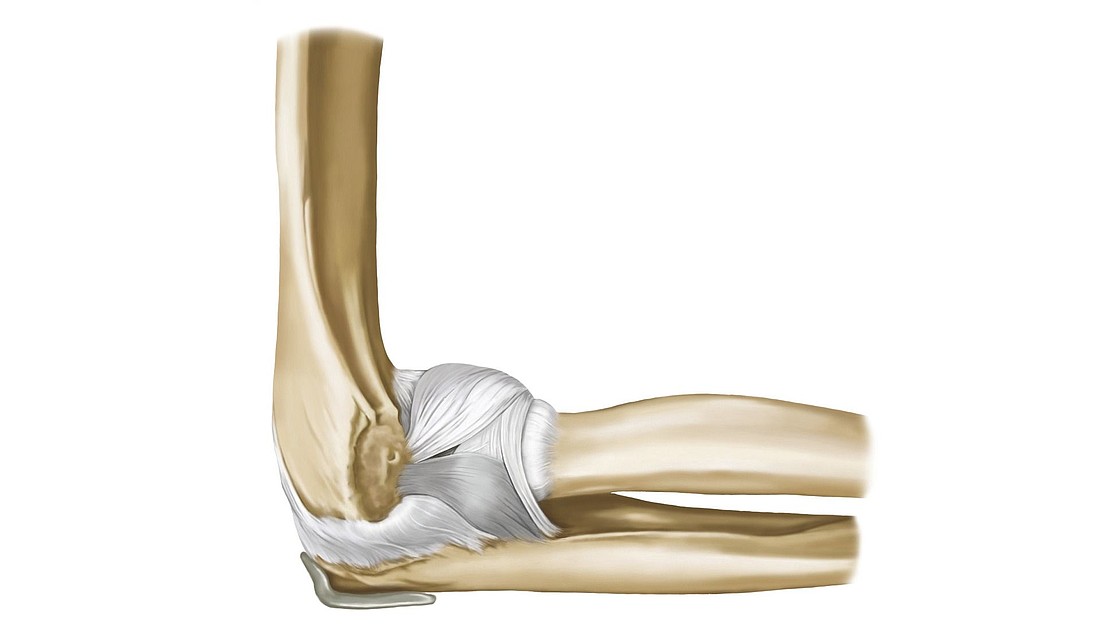 Elbow Anatomy And Possible Complaints Medi